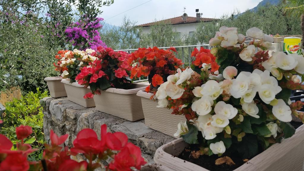 Hotel Augusta Garni Limone sul Garda Buitenkant foto