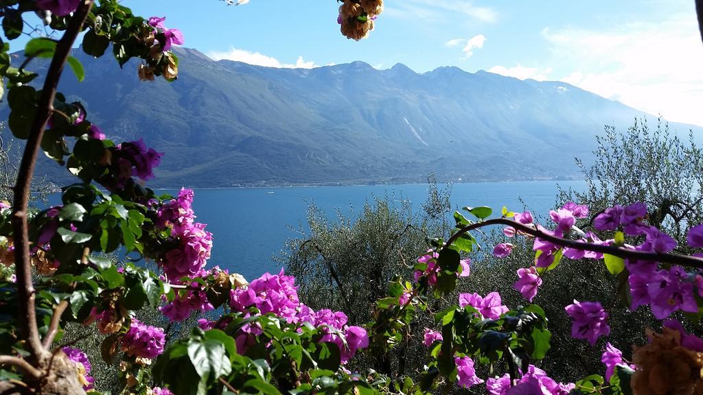 Hotel Augusta Garni Limone sul Garda Buitenkant foto
