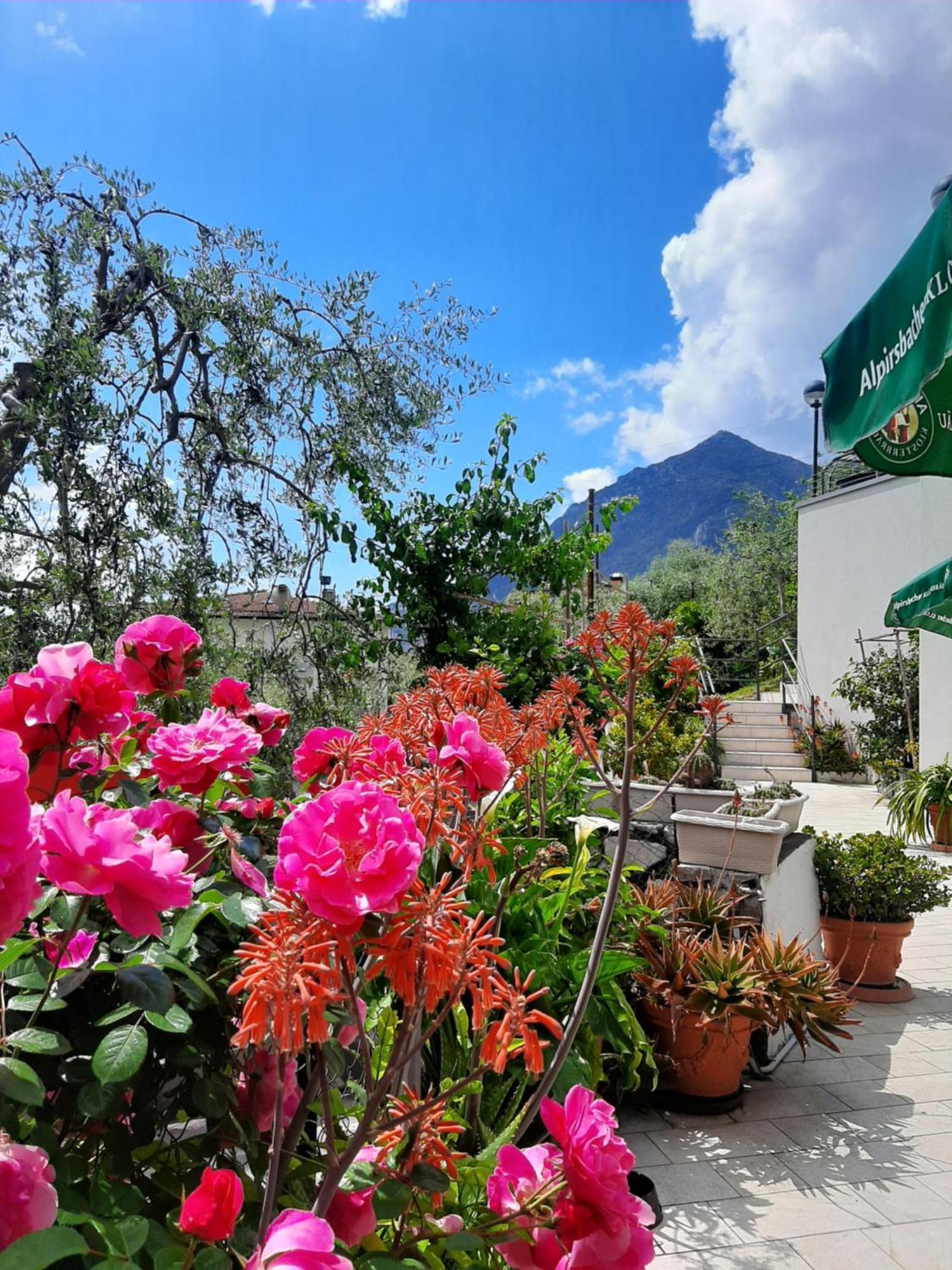 Hotel Augusta Garni Limone sul Garda Buitenkant foto