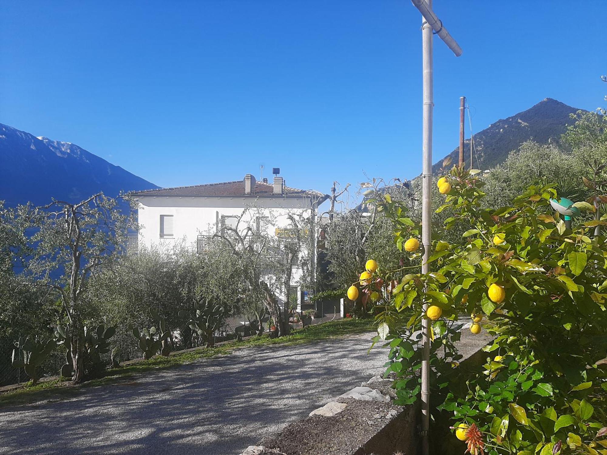 Hotel Augusta Garni Limone sul Garda Buitenkant foto